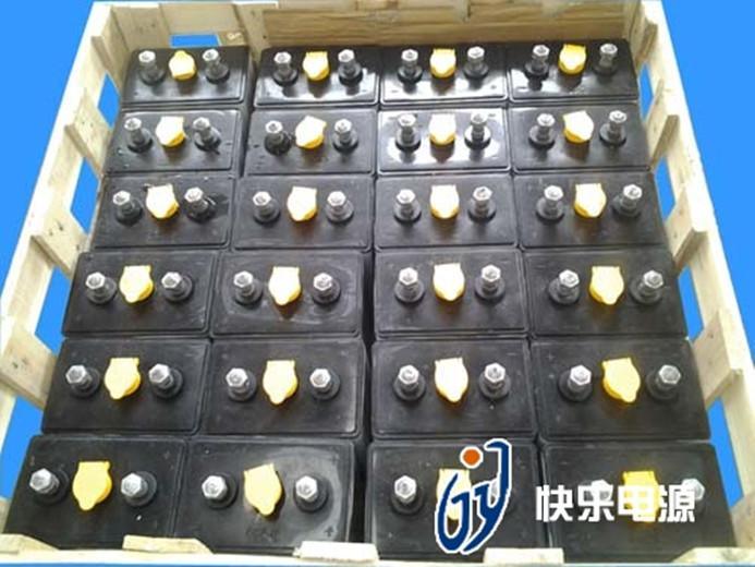 快乐D-330电动平板车蓄电池48V330AH